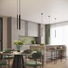 Suspension Acier Noir G9 1 Arche