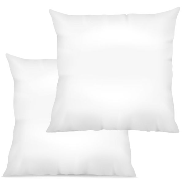 Lot 2 Oreillers 60x60 cm Coton 57 fils Made in France