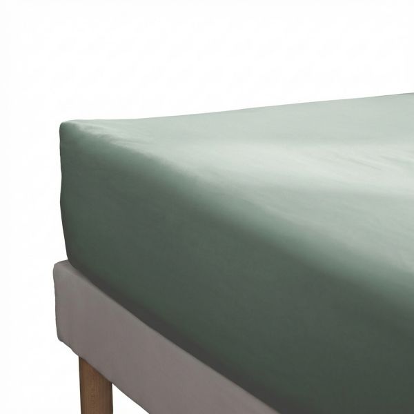 Drap housse 180x200+35 cm Percale de Coton Céladon