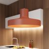 Suspensions Acier Ocre Rouge E27 1 Bilo