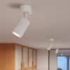 Plafonniers Aluminium Blanc GU10 1 KARBON