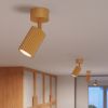 Plafonniers Aluminium Doré GU10 1 KARBON