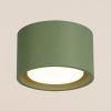 Plafonniers Aluminium Vert Olive Gx53 1 MODO