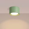 Plafonniers Aluminium Sauge Gx53 1 MODO