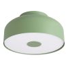 Plafonniers Acier Sauge E27 4 OMIQ