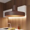 Suspensions Acier Marron E27 1 BILO