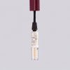 Suspensions Acier Bourgogne G9 1 Arche