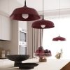 Suspensions Acier Bourgogne E27 1 Gina