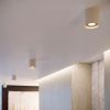 Plafonniers Aluminium Beige GU10 1 Orbis