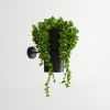 Appliques murales Acier Noir GU10 1 Kukkia