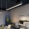 Suspensions Aluminium Noir LED 1 Pinne