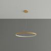 Lustres Aluminium Doré LED 1 Rio