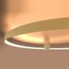 Plafonniers Aluminium Doré LED 1 Rio