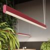 Suspensions Aluminium Rose LED 1 Farge