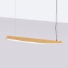 Suspensions Acier Doré LED 1 Jorun